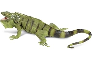 Toob Iguana