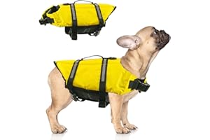 HAVENFLY Giubbotto Salvagente per Cani Regolabile, Giubbotti di Salvataggio Cane Piccoli, Medi e Grandi per Piscina, Spiaggia, Barca, Surf