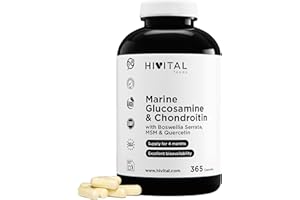 HIVITAL FOODS Glucosamin mit Chondroitin. 365 Kapseln für eine 4-monatige Behandlung. Mit 1500 mg Marine Glucosamin 2KCL, Marine Chondroitin, MSM, Boswellia Serrata und Quercetin. Hergestellt von HIVITAL
