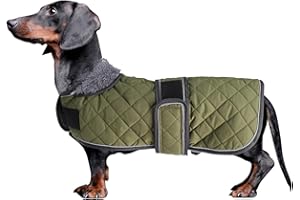 MOREZI Chaqueta de Invierno Dachshund, Forro Polar Acolchado, con Agujeros para cinturón de Seguridad y Hook Loop, Talla Ajustable, fácil de Poner y Quitar.