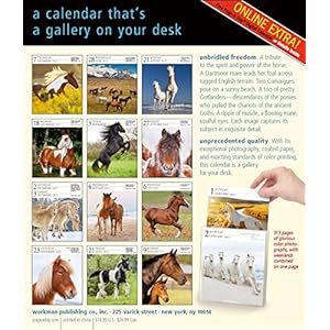 Horse Gallery 2017 Calendar