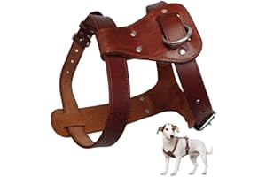 Feidaeu Haustier Ledergeschirr Braun Mittelgroße Hunde Gehtraining Einstellbare Haltbare Weste Brustgurt