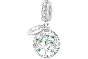 TCZNAF Ciondolo Amore e Famiglia Charm Pendant Compatibile per Bracciali Europei Festa della Compleanno e San Valentino Gifts da donna