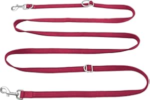 PETCOOZ Smycz do treningu psów, podwójna końcówka, wielofunkcyjna, regulowana, profesjonalna smycz dla psa z 2 uchwytami, bez użycia rąk, do treningu, chodzenia, joggingu, czerwone wino
