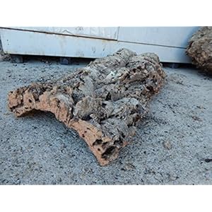 SAHAWA® Korkstück, Korkrinde ca, 50 x 20 cm , Korkplatte Terrariendeko