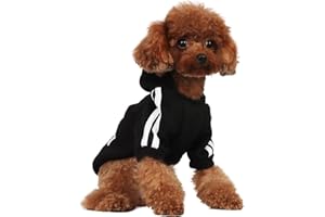PenghaiYunfei Felpa con Cappuccio per Cani alla Moda Abbigliamento per Cani Felpa in Cotone Streetwear Vestito alla Moda per Cani Gatti Cucciolo Piccolo Medio Grande (Nero, XXL)