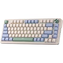 Clavier Gaming Redragon K744 Pro Sans Fil - 99 Touches, Switches Mambo Menthe, RGB, 3 Modes (USB-C/Bluetooth/2.4G)