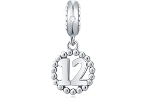 CHAWIN Number Bracelet Charms, 925 Sterling Silver Pendants/Beads Fit Pandora Charm Bracelets, Necklace, European Snake Chain,10/20/30/40/50/60 Dangling Charm for Birthday, Anniversary