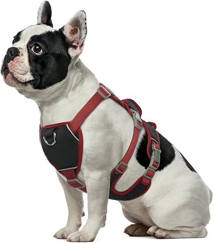 Pettorina Antifuga Per Cani LiebeDD - Taglia M, Nera, Regolabile, Con Maniglie E Strisce Riflettenti, Per Taglia Piccola/media - Foto 3