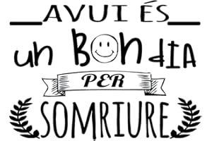 DOCLIICK Vinilo Frase Catalán "Avui és un bon dia." Vinilos decorativos vinilo frases motivadoras para pared. Vinilos decorativos frases Catalán .Vinilos pared DC-18101 (60x42cm)