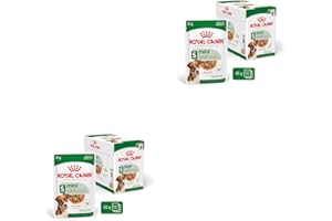 Royal Canin Mini Adult en Salsa | Paquete Doble | 2 x 12 x 85 g | Comida húmeda para Perros pequeños Adultos (de 1 a 10 kg) | De 10 Meses a 12 años | Contenido energético Ajustado