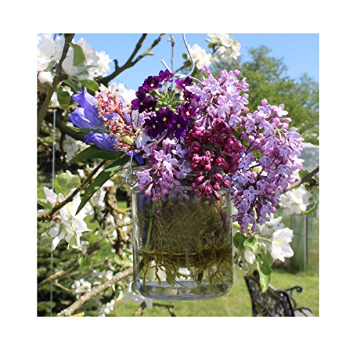 Windlichter, 12 Stück mit Henkel, Laterne Glaslaterne Garten-Deko, Ø 7,6 cm, H 10 cm - 5