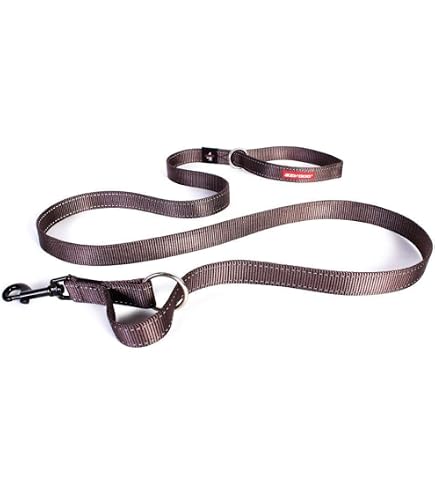 EzyDog Vario 6 Multifunktions-Hundeleine – 6-in-1, 1,83 M, Reflektierend, Aus Robustem Nylon