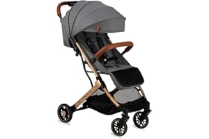 MOMI ESTELLE Kinderwagen für Kinder ab 6 Monat bis zu max körpergewicht von 15 kg, klappbar auf die Maße 65 x 51 x 21 cm, gewicht 7,5 kg, 5-Punkt-Sicherheitsgurt, koffer, grau-gold, Räder 6''/6,5''