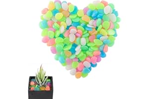 CEZKFH Leuchtsteine 300 Stück Leuchtende Kieselsteine, Fluoreszierende Steine Bunt, Fluoreszierende Leuchtsteine Stein Für Garten Gehweg Aquarium Kinderzimmer Dekor,Garten Dekorative