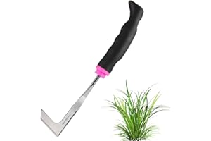 badaren Extractor de Malas Hierbas con Mango, Raspador de Malas Hierbas de Acero Inoxidable, Herramienta de Deshierbe Manual, Herramientas Jardineria para Eliminar Musgo y Malas Hierbas