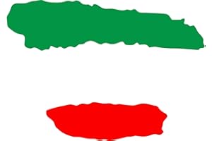 JINTORA - Italia Bandiera - 70x50 mm - Set 2X Adesivo Auto Adesivo Porta Handicap parcheggio WC Pannello WC per caschi Auto Moto ciclomotori Biciclette