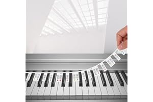 LALASTYLE Removable Silicone Piano Notes Labels, Piano Key Notes Guide for Beginners, 88 Key Full Size Piano Keyboard Note Labels, Reusable Piano Note Strips with Box (Colorful)