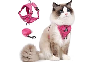 SKMEDITEC Cat Harness and Leash Set for Kitten, Upgraded Escape Proof Adjustable Vest with Lead for Small Cat Outdoor Walking, Soft Breathable Mesh Jacket with Reflective Stripes for Night… (S, Rose Pink)