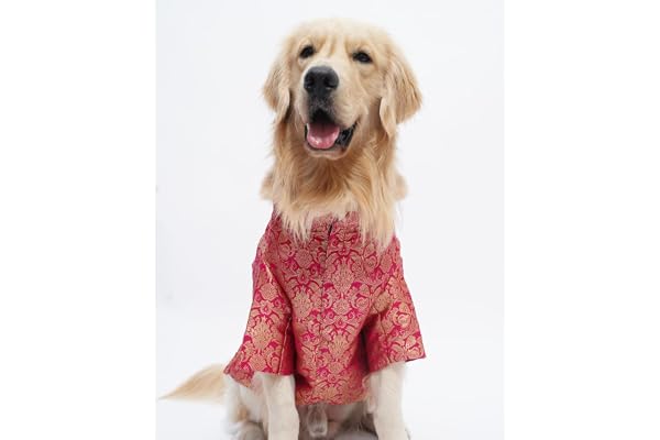 Waaouch Silk Festive Dog Kurta Sherwani for Indian, Designer Ethnic Wear for Pets, Adjustable Outfit for Dogs, Comfortable Attire for Pooja, Sangeet, and Diwali (Fuchsia, 4XL), 1 Count