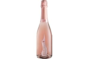 Bottega Il Vino dei Poeti Prosecco Rose DOC Brut Sparkling Wine - 750 ml