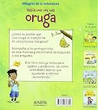 Image de Había una vez una oruga (Ocio Y Conocimientos - Milagros De La Naturaleza)