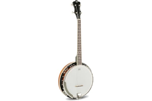 VGS Banjo Tenor 4 cordes étui inclus - Banjos