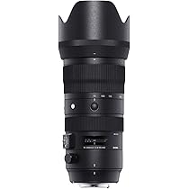 SIGMA 70-200mm f2.8 DG OS HSM Sports ニコン 61AxPRbZLfL._AC_UL210_SR210,