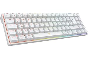DREVO Calibur V2 PRO Tastiera Meccanica da Gaming Wireless Bluetooth 5.1 con Cavo USB Tipo-C Rimovibile, Compatibile con PC/Mac, Compatta 72 Tasti Layout Italiano(Outemu Rosso，Bianco)