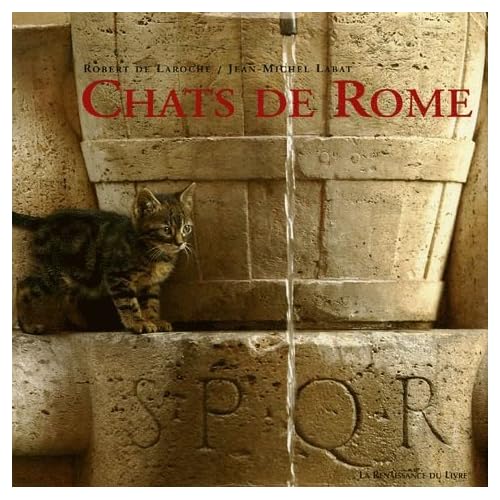 Chats de Rome Chats de Rome