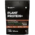 Carbamide Forte Plant Protein Powder - Plant Based Protein Powder with Multivitamin, Minerals, Superfoods, Pea Protein, Digestive Enzymes | Plant Protein Powder - Belgian Chocolate Flavour - 500g