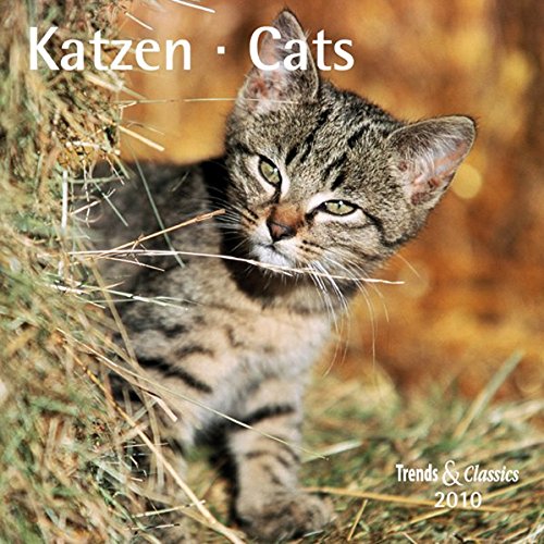 Katzen - T & C-Kalender 2010