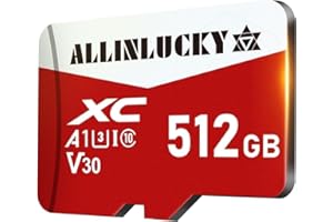 ALLINLUCKY Scheda di Memoria Micro SD da 512 GB Scheda SD Memory Card SD with Smartphone, Camera, Tablet, Drone, Smart TV