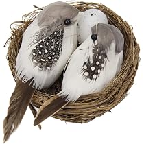6 Oiseaux Artificiels Réalistes – Pattes En Aluminium à Fixer Sur Branches, Décoration Jardin, Terrasse, Maison