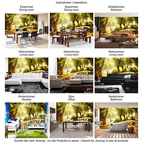 Fototapete Wald – ALLE WALDMOTIVE auf einen Blick ! Vlies PREMIUM PLUS – 200×140 cm – SUMMER TREES – Wald Sonne Steine – no. 265 - 5