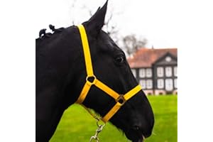 PFERDELINIS Cabestro para caballo de sangre caliente, sangre fría, cabestro de establo, cabestro de pasto, 2 posiciones ajustables en la correa de la barbilla y el cuello, seguro y resistente a desgarros