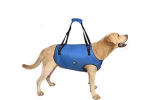 Coodeo Hundeliftgeschirr, Haustierunterstützung & Rehabilitation Sling Lift Verstellbare Gepolsterte atmungsaktive Gurte für Alt, Gelenkverletzungen, Arthritis, Stabilitätsverlust Hunde(Blau, 2XL)