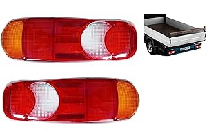 2 x Cabochon de feux arrière pour Renault Master,Premium,Mitsubishi Mascott,Peugeot Boxer,VW Transporter T5 T6,Opel Movano E-MARK