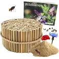 Die Wildbienen - Wildbienen Nisthilfen Von Produktbild-Vorschau 5
