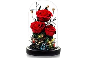 ‎DINGHENG DINGHENG Ewige Rosen im Glas mit LED Licht, 3 Echte Konservierte Rosen Infinity Blumen als Geschenke für Frauen Freundin Mädchen Damen für Geburtstag Hochzeit Thanksgiving Weihnachten Valentinstag