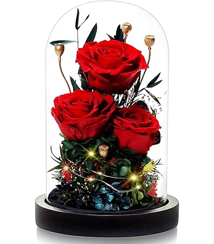 FAYODO Ewige Rose Mit LED Licht - Konservierte Rose Als Geschenk Für Frauen In Glaskuppel