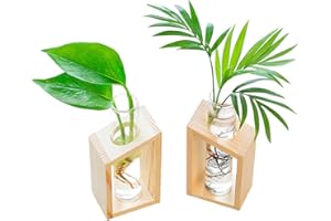 IVOLADOR I Ivolador Glass Propagation Glass Test Tube Plant Terrarium Mini Vase Flower Pots for Hydroponic Plants Home Garden Decoration