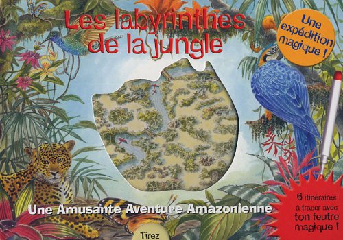couverture de : Les labyrinthes de la jungle