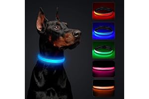 BTKVISEQAT Leuchthalsband Hund, Wasserdicht Hundehalsband Leuchtend, USB Leuchthalsband Hund Aufladbar Längenverstellbarer mit DREI Beleuchtungsmodi LED Hunde Leuchthalsband, Hund Sicherheit Leuchtet für Nacht