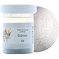 COLOUR SPLASH Pearl Food Colouring Dusts, Lustre Dust for A Pearlescent Finish to Cake Surfaces Or Decorations, Create A Rainbow Cake Kit with an Assortment of Glistening Colours - Silver 5g