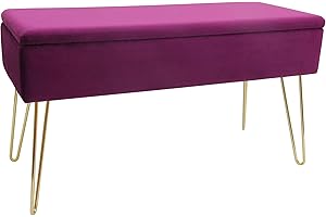 ‎ECHTWERK ECHTWERK Scarlett Bench Upholstered Bench with Velvet Cover, Rectangular Storage Chest, Makeup Bench with Storage Space, Storage Bench with Metal Legs, 75 x 30 x 41.5 cm, Polyester Blend, Berry