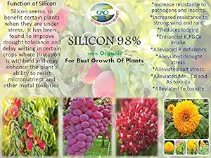 GAO Silicon 98%, 100% Water Soluble Organic Fertilizer Useful for All Types of Plants and Gardens for High Growth and Increasing Photosynthesis (500 g)