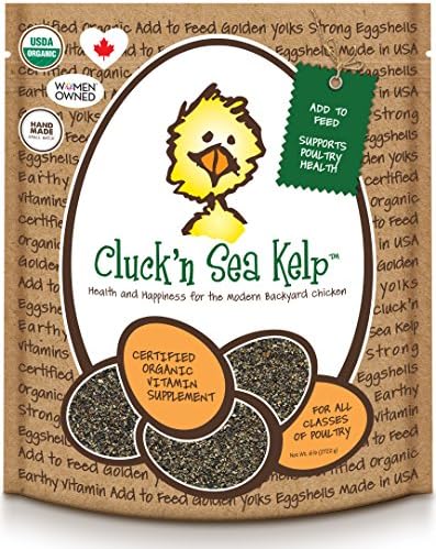 Treats For Chicken Natural Healthy Organic Cluck N Sea Kelp Meal Treats 6lbs