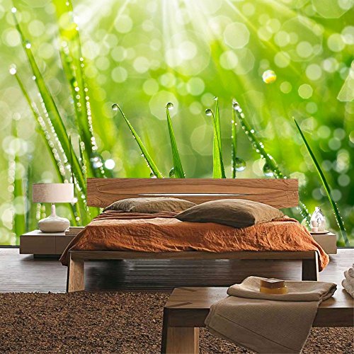 Vlies Fototapete PREMIUM PLUS Wand Foto Tapete Wand Bild Vliestapete – Blumen Blüte Natur – no. 199 Natur Gras Wiese Halm Sonne, Größe:350x245cm Vlies - 8