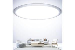 NIBSHOOM Plafon LED Techo Redonda Plana 6500K,24W/2400LM/IP44 Resistente al agua Lámpara de Techo,Modernos Sencillo Plafones para Techo LED para Baño Salon Cocina Dormitorio,300 * 17mm